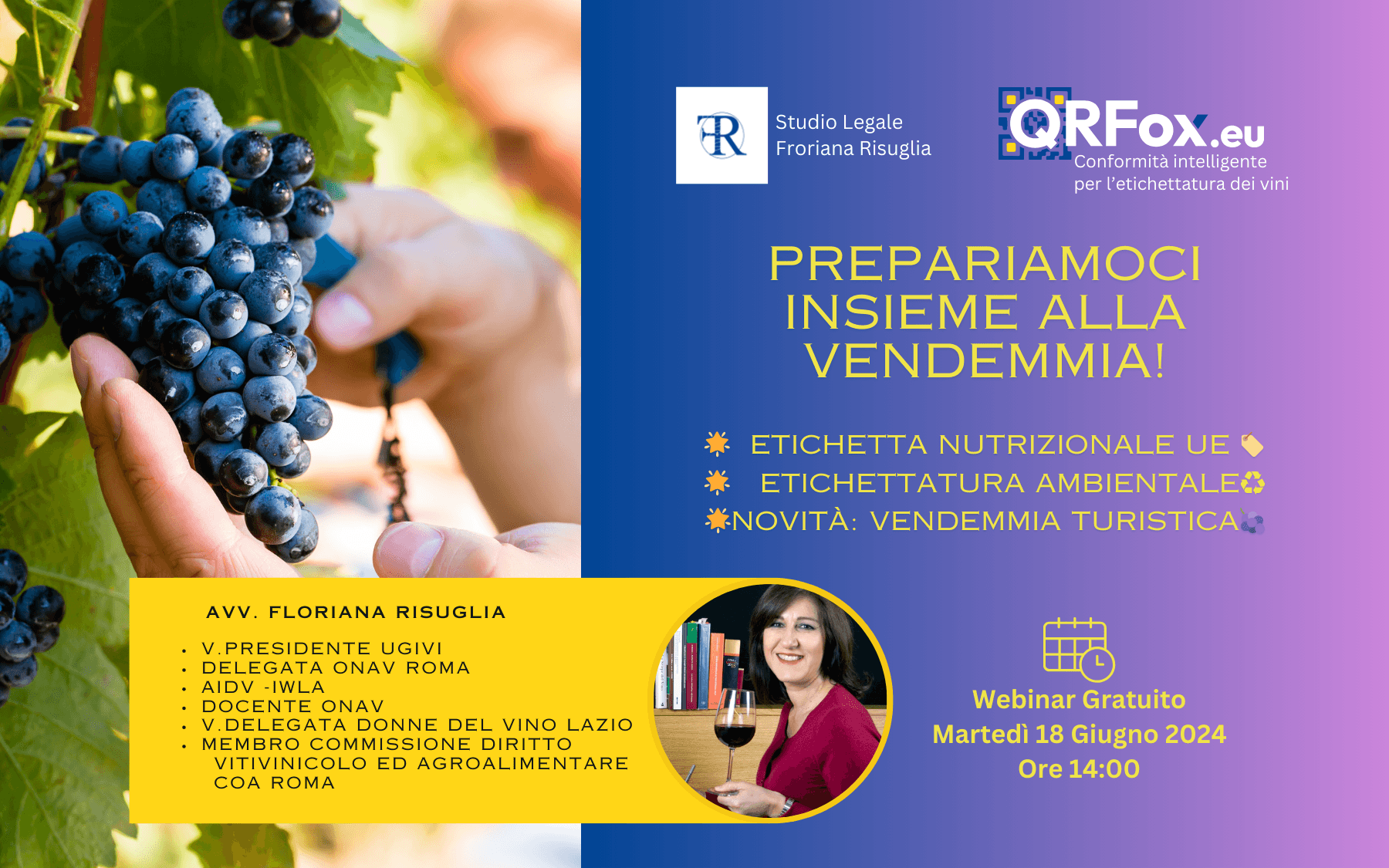 La Vendemmia Turistica: Opportunità, Normativa e Limiti